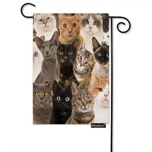 12.5 x 18 Inch White Black Gray Cats Garden_